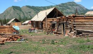 Tuwa Tribe
